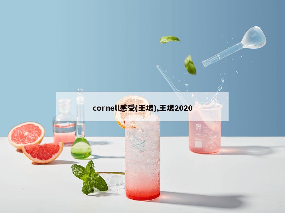 cornell感受(王垠),王垠2020