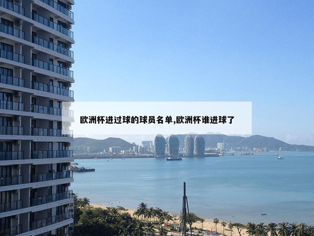 欧洲杯进过球的球员名单,欧洲杯谁进球了