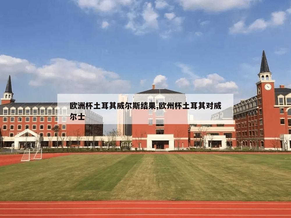 欧洲杯土耳其威尔斯结果,欧州杯土耳其对威尔士