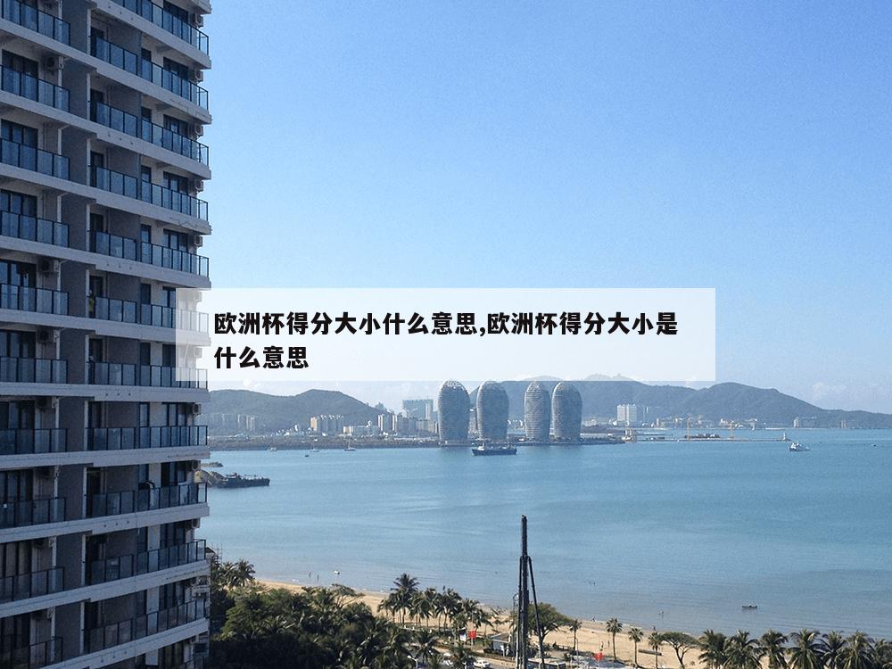 欧洲杯得分大小什么意思,欧洲杯得分大小是什么意思