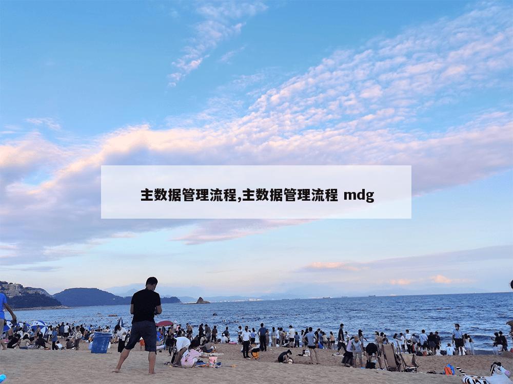 主数据管理流程,主数据管理流程 mdg