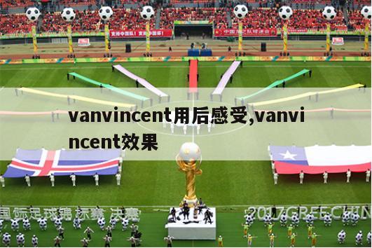 vanvincent用后感受,vanvincent效果