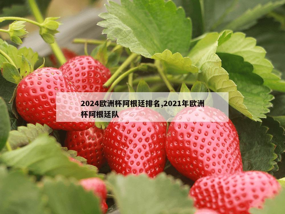 2024欧洲杯阿根廷排名,2021年欧洲杯阿根廷队